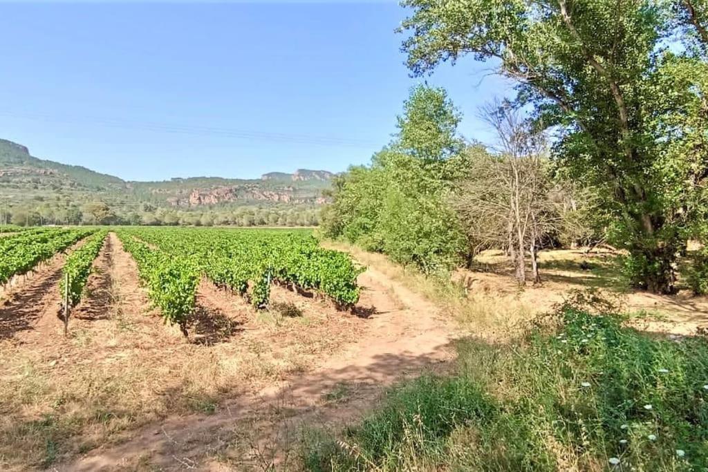 Superbe Villa Cadre Campagne Roquebrune-sur Argens Exteriér fotografie